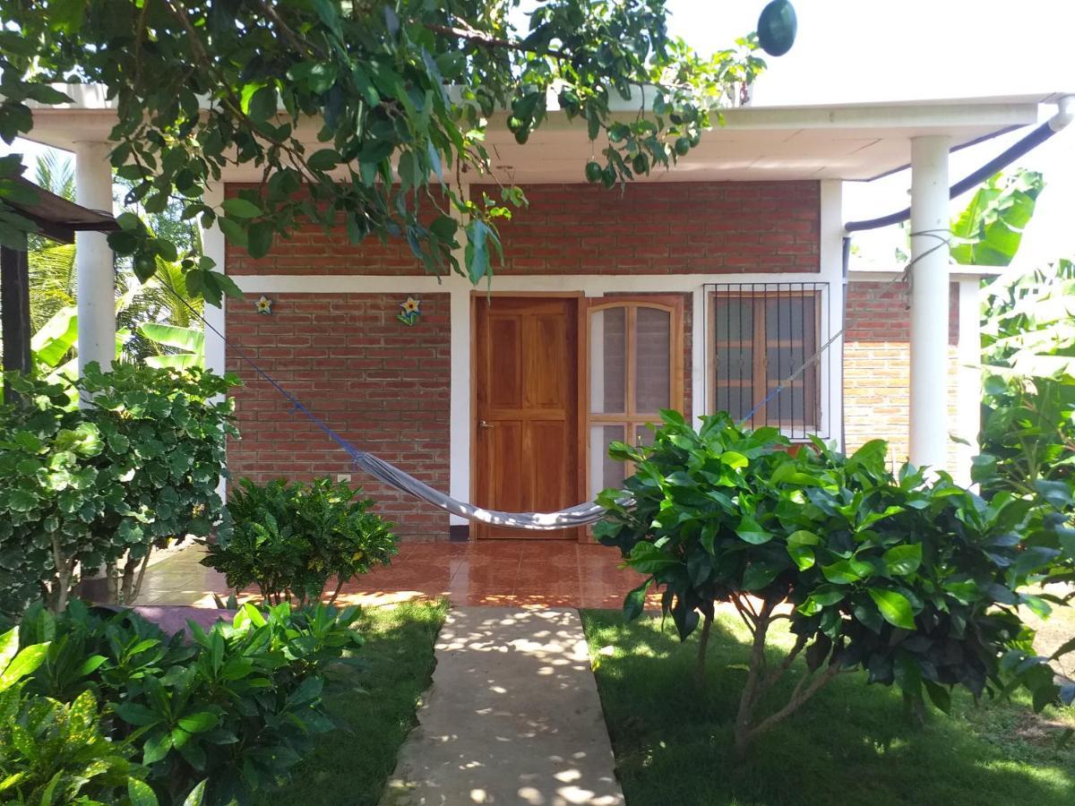 Hostal Bullshark Altagracia Exterior photo