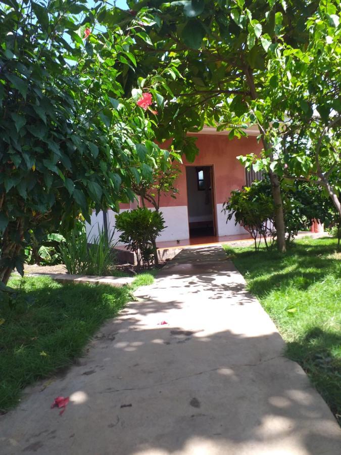 Hostal Bullshark Altagracia Exterior photo