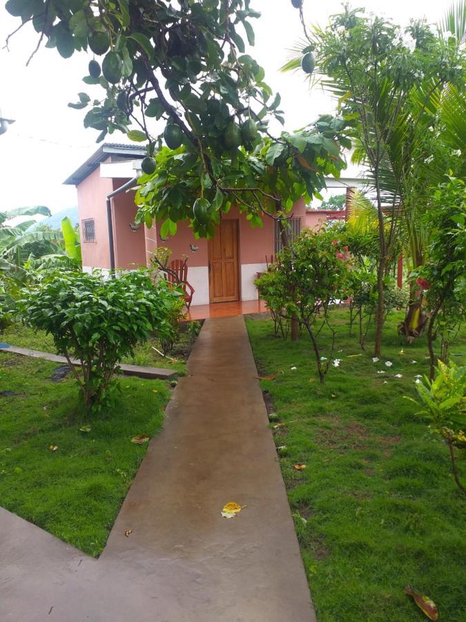 Hostal Bullshark Altagracia Exterior photo