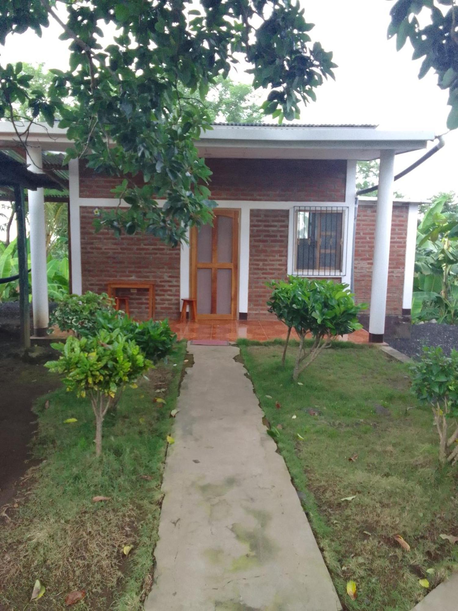 Hostal Bullshark Altagracia Room photo